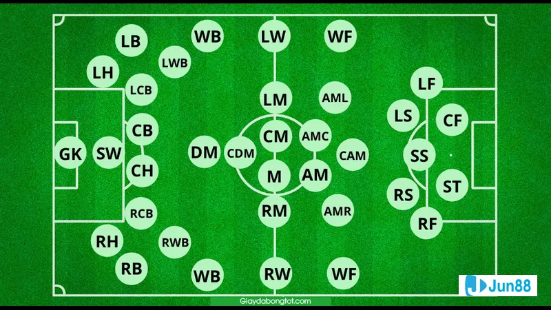 Minh họa cho Các loại hậu vệ và