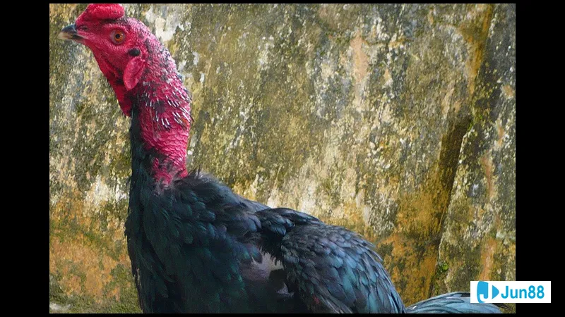 Mây đen che phủ bầu trời xám Mây đen che phủ bầu trời xám