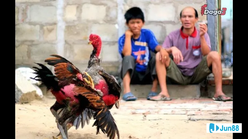 Đôi nam nữ đi dạo trên bãi biển