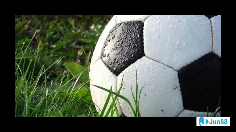 Minh họa cho Mẹo giúp người chơi tính Minh họa cho Mẹo giúp người chơi tính