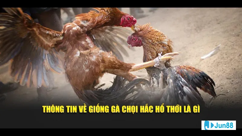 Chăm sóc sức khỏe định kỳ Chăm sóc sức khỏe định kỳ