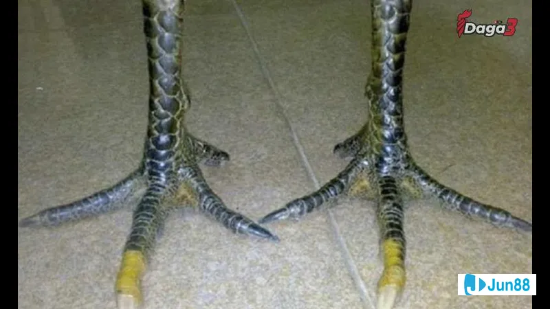 Phòng khách nội thất hiện đại Phòng khách nội thất hiện đại