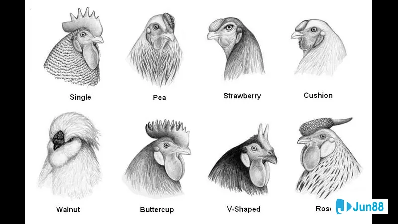 Môi trường xanh mát trong hồ nước