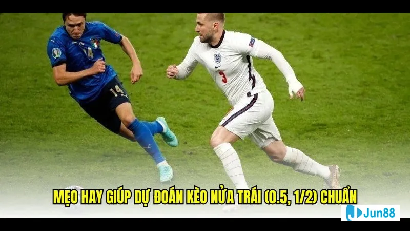 Minh họa cho Chú ý đến biến động